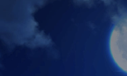 Featured image of post 月姬 Tsukihime